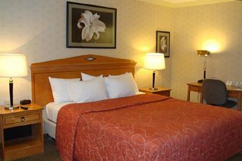 Inn Western 3*